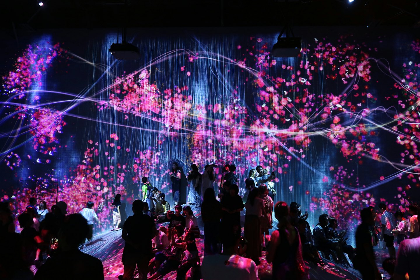People watch an interactive light projection of falling petals.